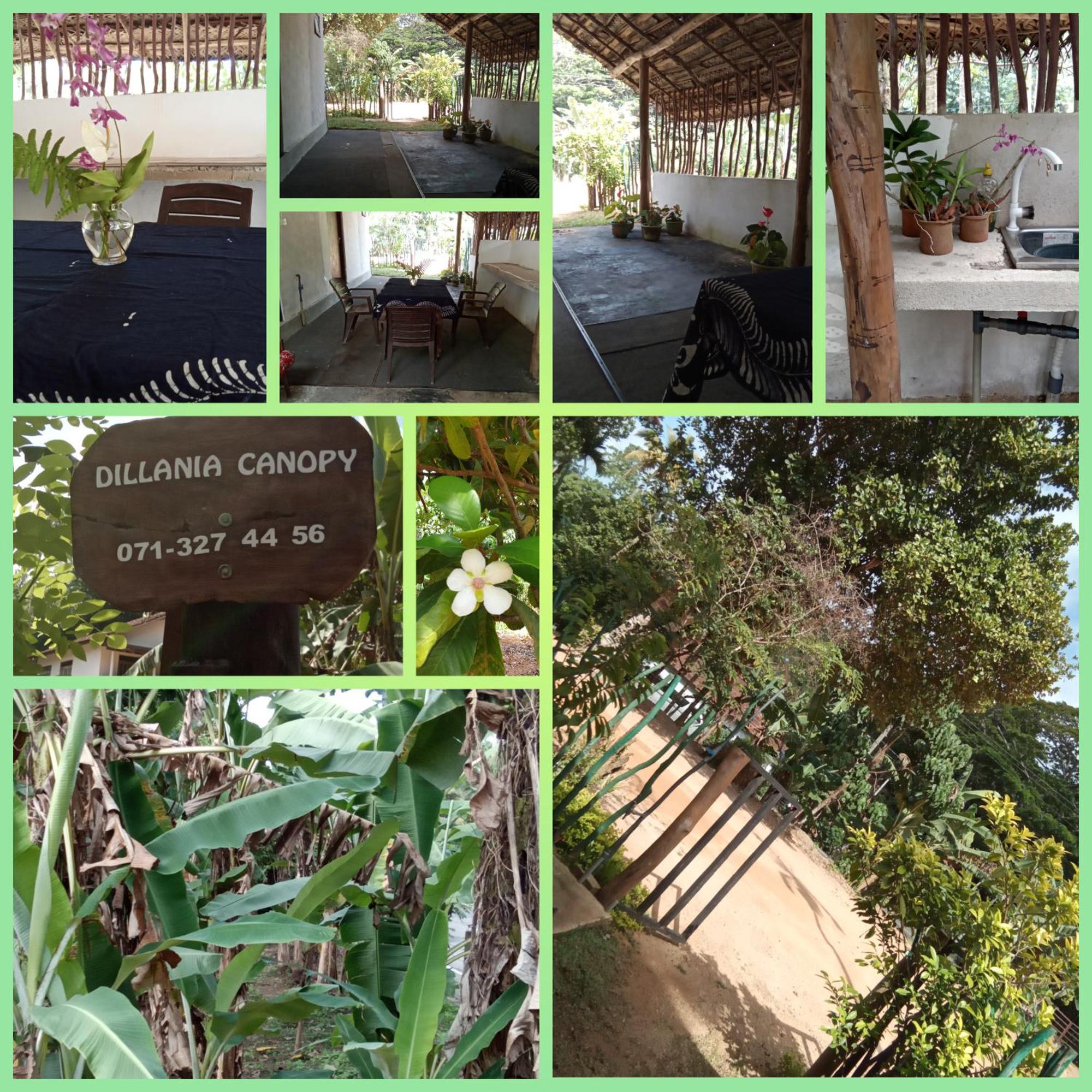 Dillenia Canopy Mirissa Exterior photo