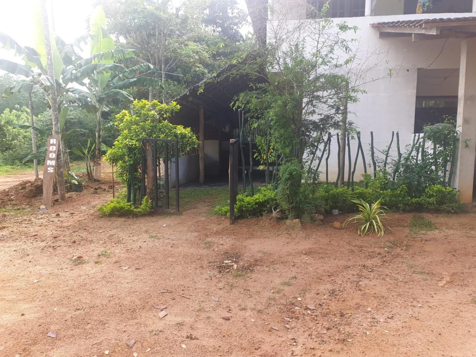 Dillenia Canopy Mirissa Exterior photo