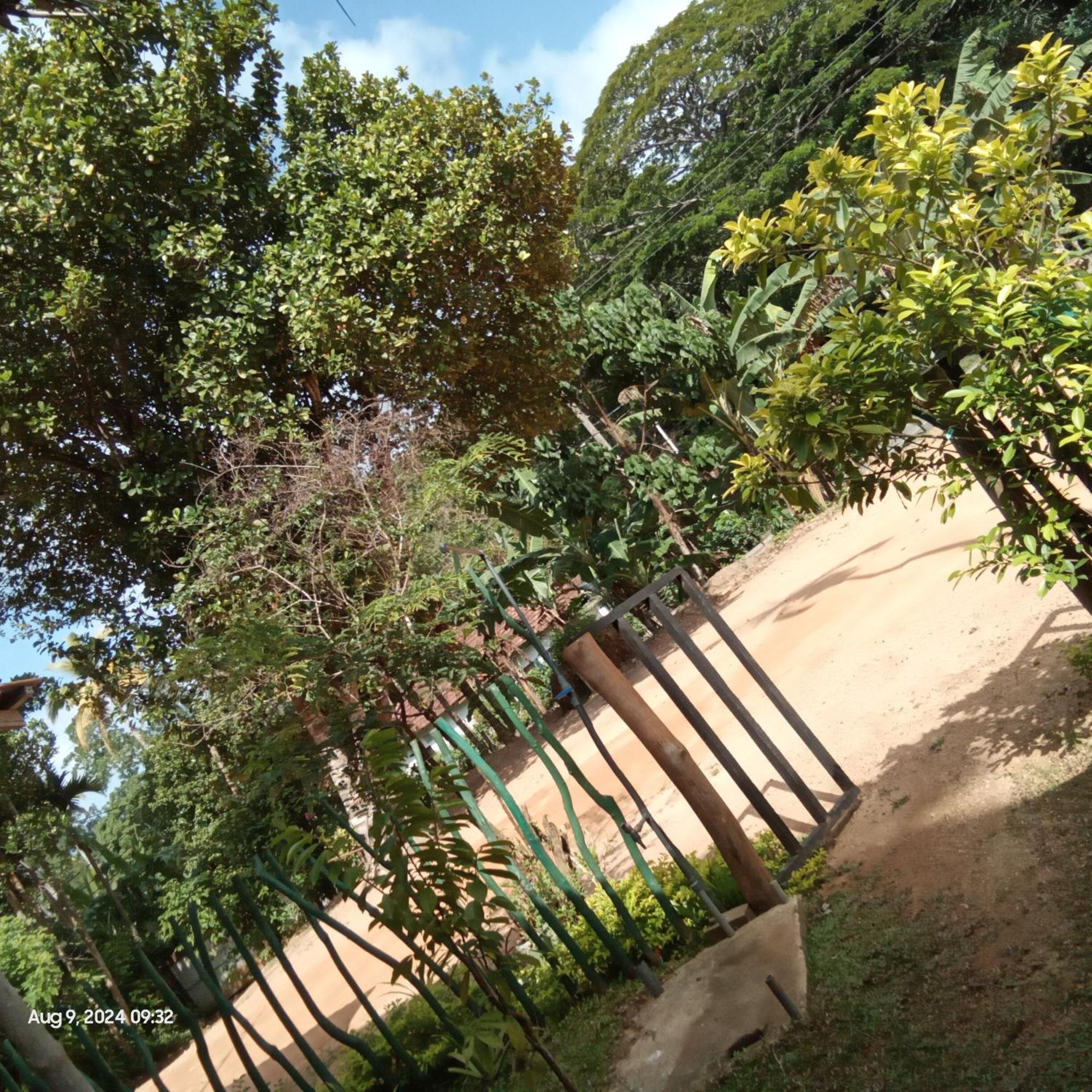 Dillenia Canopy Mirissa Exterior photo